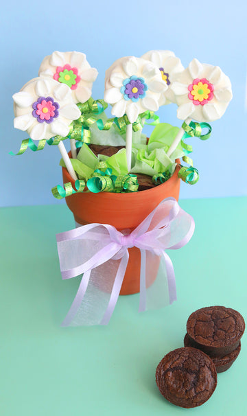 Brownie Pop Flower Pot