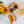 Load image into Gallery viewer, Lemon Madeleines
